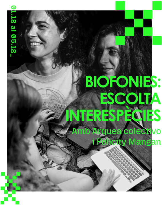 Biofonies: Escolta Interespècies - Arquea Colectivo Felicity Mangan  Marzia Matarese