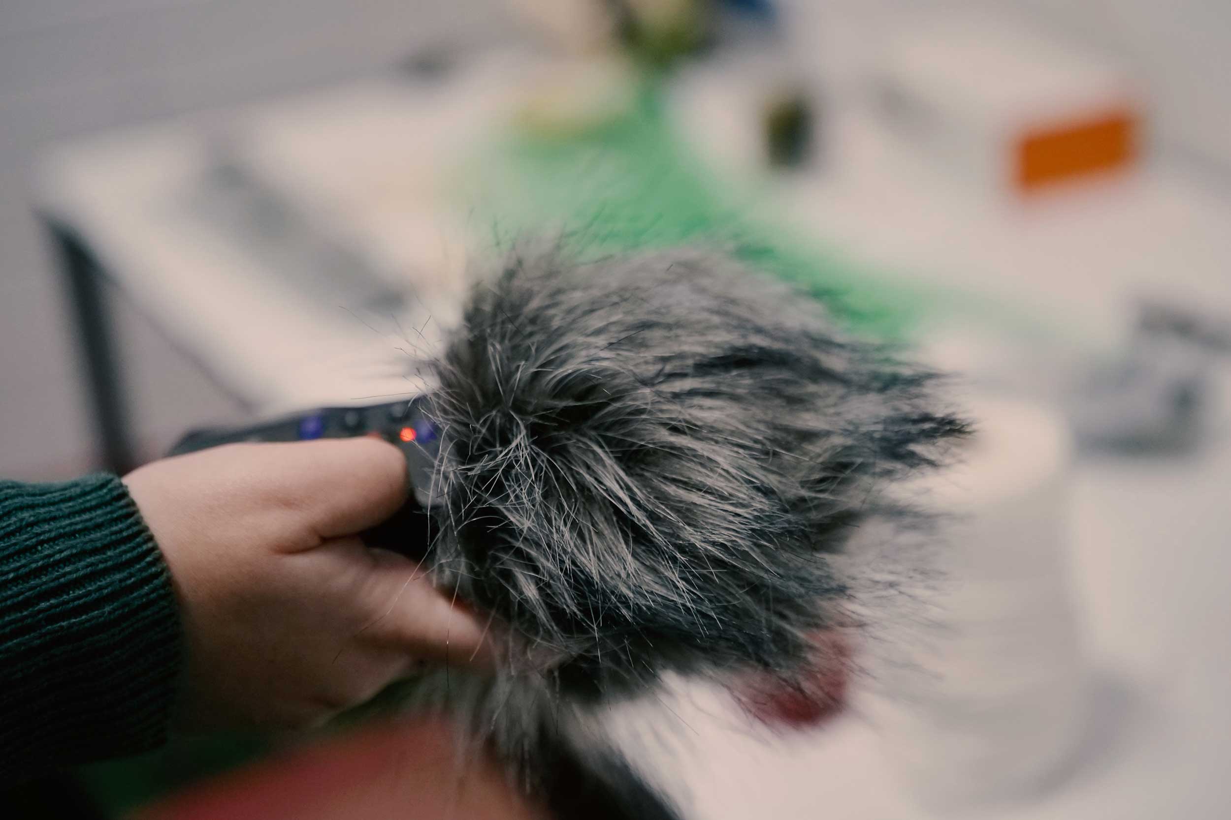 EinXS_Cartografies_05